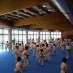 DSCN0957