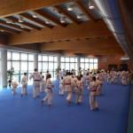 DSCN0959
